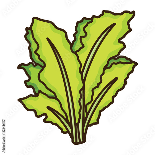 watercress colored icon