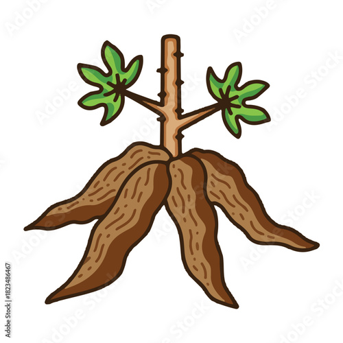 cassava colored icon