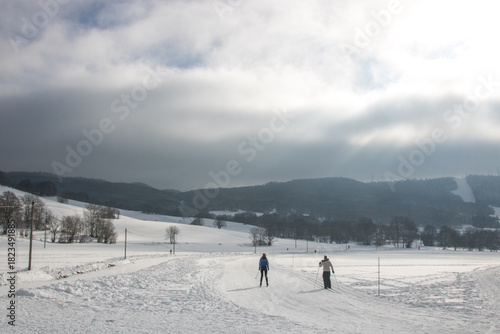 Ski de fond ou ski nordique aux Plans d'Hotonnes, station de sports d'hiver française, commune de Haut Valromey dans l'Ain , plateau de Retord, Bugey, massif du Jura 