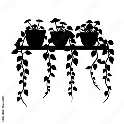 Silhouette of trailing ivy on shelf, indoor greenery and home decoration in monochrome