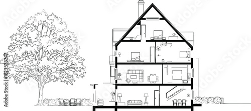 Architectural section drawing of residential house, cross section view with furniture, home interior blueprint, large tree, technical vector illustration