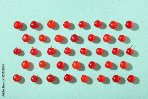 Red berries pattern on aqua...