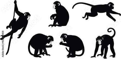 Monkey Silhouette Vector Set Showing Tropical Primate in Six Different Poses, Including Hanging, Running, and Sitting for Wildlife and Jungle Themed Designs