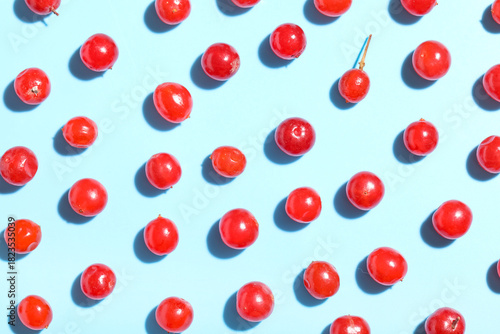 Red berries pattern on blue...