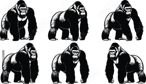 Powerful African Gorilla Set: Detailed Black and White Etching Style Vector Illustrations of Silverback Gorillas in Different Poses for Wildlife or Conservation Design