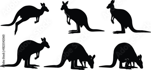 Set of Black Silhouette Kangaroo Vector Graphics Displaying Different Poses, Including Jumping, Standing, Feeding, and Mother with Joey for Australian Wildlife Design