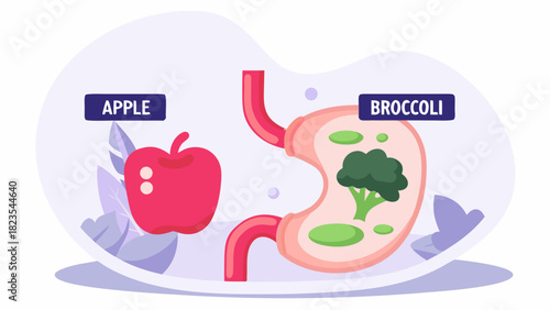 Illustration comparing the digestion of an apple versus broccoli within the human stomach for visual representation of dietary differences