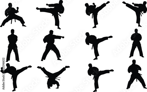 Set of martial arts silhouettes, karate fighters kicking and punching, taekwondo poses, judo sport athlete, black vector illustration collection