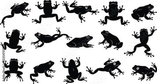 Set of frog silhouettes, amphibian animal icons, black toad collection, jumping and sitting poses, nature wildlife vector illustration, isolated shapes