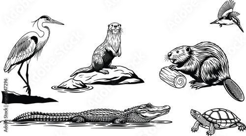 That is the same image as before, featuring various North American wetland animals in a black-and-white, etched style. Here is the requested title and keyword list for Adobe Stock SEO.