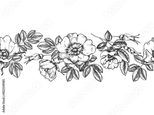 Rosehip hand-drawn ink vector seamless border. Pattern with flowers, leaves, and buds. Element for packaging and label design for tea and cosmetics.