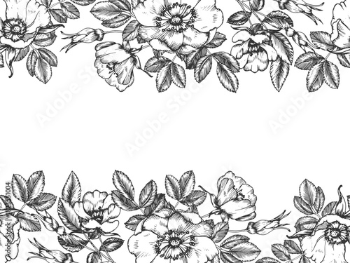 Rosehip hand-drawn ink vector seamless border. Pattern with flowers, leaves, and buds. Element for packaging and label design for tea and cosmetics.