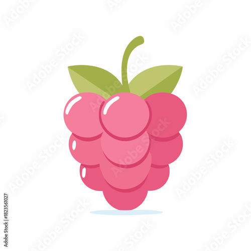Stylized Raspberry Fruit With Green Leaves, Fresh Pink Berries