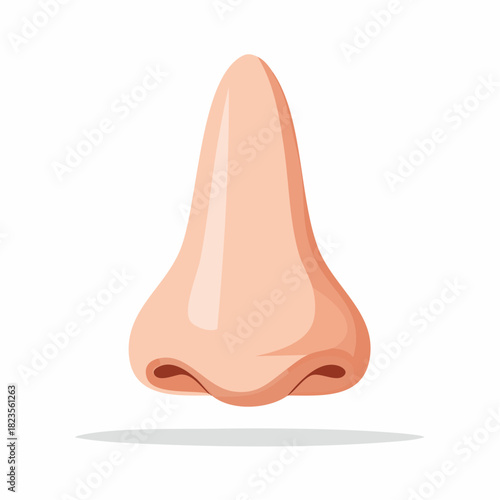 Close-up cartoon illustration of a human nose, nose tip, nostrils, and bridge in a simplified, clean style.