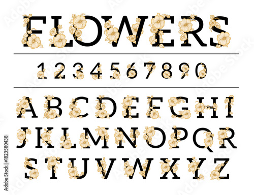 Elegant floral elements font. Decorative vintage numbers and letters design, gentle alphabet with blossom flowers, golden botanical ornament isolated elements, wedding decor splendid vector set