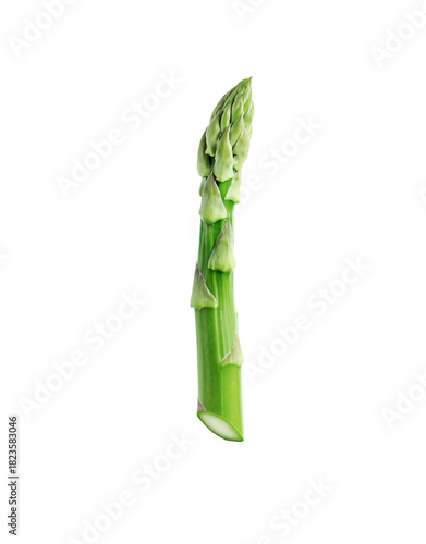 green asparagus on a white background