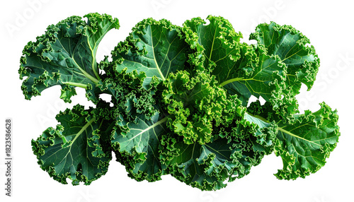 Close-up of vibrant, curly-leaf green vegetable against a stark black background