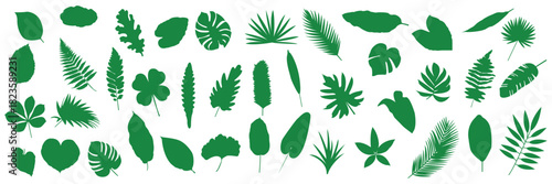 Set of hand-drawn leave silhouette on a white background, nature leaves collection vector illustration, vector icon . Collection of Black Silhouettes of Tropical Leaves and Monstera palm leaf . 