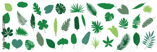 Set of hand-drawn leave silhouette on a white background, nature leaves collection vector illustration, vector icon . Collection of Black Silhouettes of Tropical Leaves and Monstera palm leaf . 