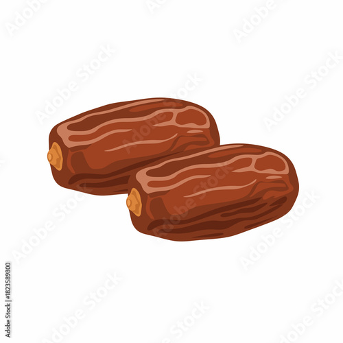 vector illustration of dates with white background, for design concept ramadan kareem