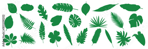 Set of black silhouettes of tropical leaves of palm trees, trees. Hand drawn vector illustration isolated on white.  eps 10