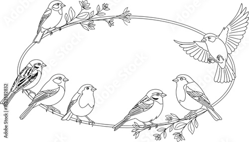 Line art illustration of birds perched on branches forming an oval frame shape