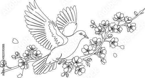 Dove flying with cherry blossom branch in a minimalist line art illustration