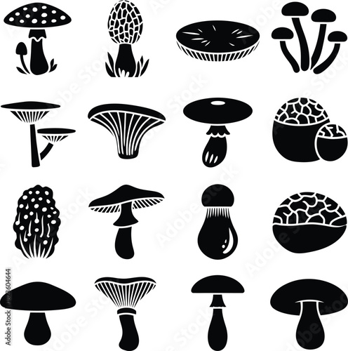Wild Mushrooms and Fungi Vector Silhouette Set