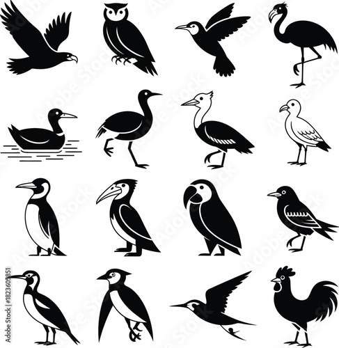 Wild Birds and Waterfowl Vector Silhouette Collection