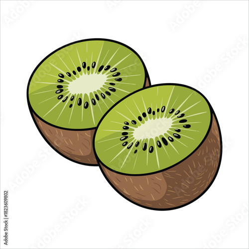 Fresh green kiwi fruit with brown fuzzy skin isolated vector illustration on white background