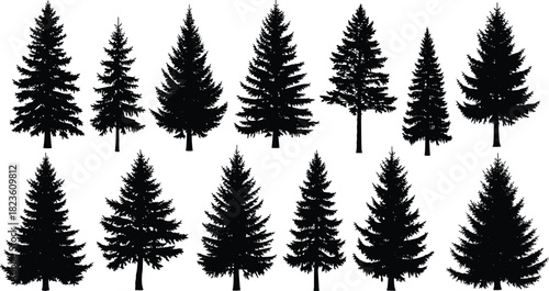 Set of detailed black silhouette Christmas pine spruce fir trees for winter forest landscape design, vector illustration