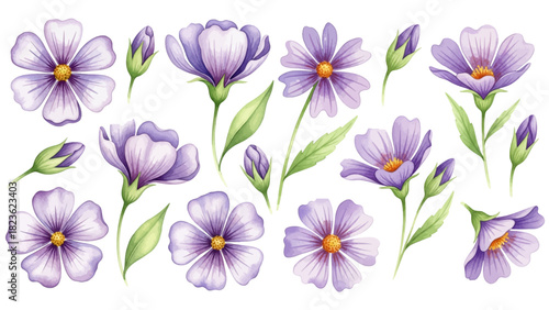 watercolor purple flower clipart for graphic resources