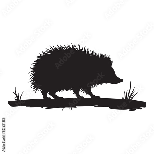 Small hedgehog silhouette exploring quietly along bright white background surface