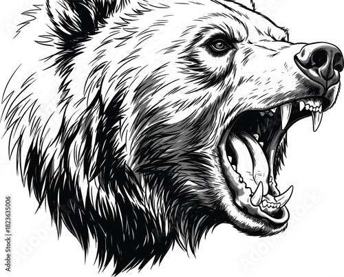 Fierce Roaring Bear Head Engraving Style Vector Illustration, Featuring Open Mouth and Fangs, Symbolizing Aggression, Strength, Wildlife, Mascot, and Power
