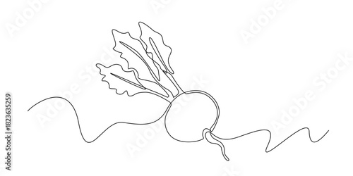 Continuous line drawing of a beetroot with leafy greens. Single-line illustration suitable for organic food themes, fresh produce branding, healthy eating visuals, and culinary design.