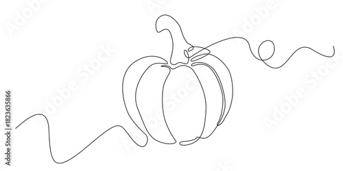 Continuous line drawing of a whole pumpkin with a curved stem. Minimalist single-line illustration suitable for organic food themes, autumn harvest designs, farm produce, and culinary visuals.