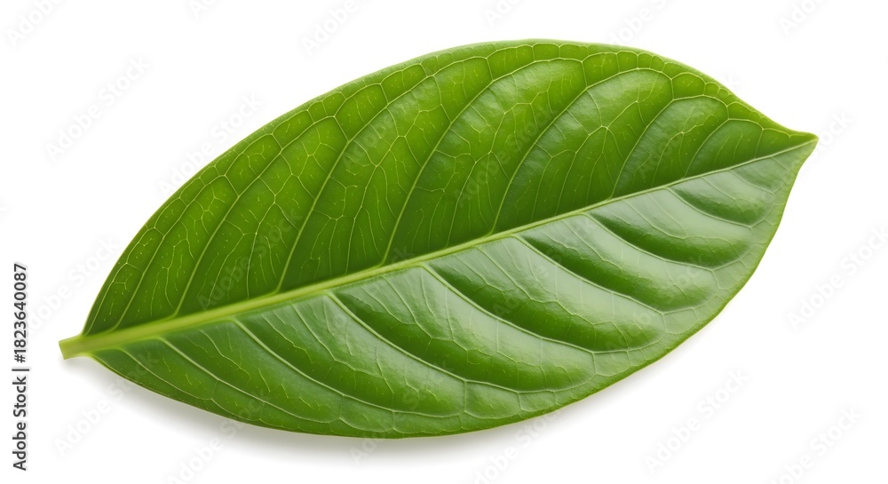 Obraz premium Glass jar filled with freshly picked wildflowers on white cloth