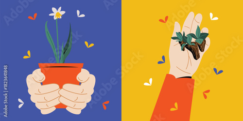 Hand Holding Seedling and Daisy Flower Plants in a Pot, Home Gardening, Sustainable Green Living and Farming