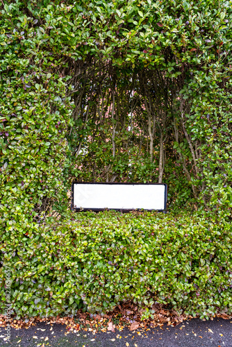 Cut out on hedge to show blank street name