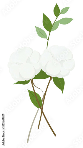 Twin white blossoms & green leaves on brown stems