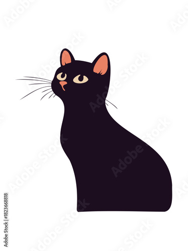 friendly black cat close up portrait photography