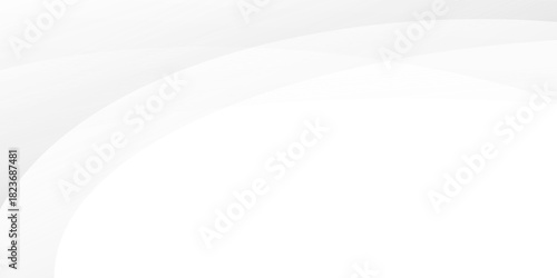 Wallpaper Mural White gradient abstract curve pattern on gray design art background. Modern texture neutral soft Torontodigital.ca