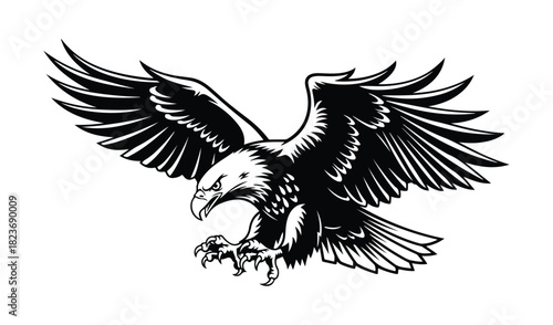 Powerful bald eagle in flight with wings spread wide