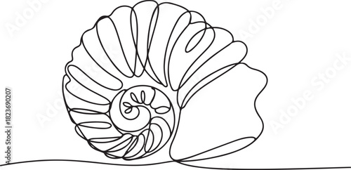 Continuous line art illustration of elegant spiral seashell using handmade sketch contour