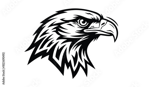 Bold black and white eagle head illustration with sharp detail