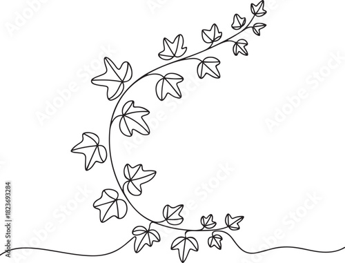 Continuous line art illustration of flowing ivy branch curling naturally with hand-sketched contour