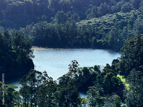Australian lake forest pond during November 2025