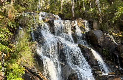 Toorongo Falls waterfall at sunset light