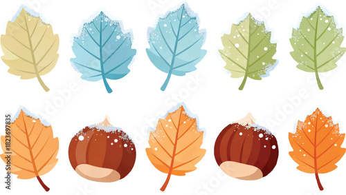 Frost-Kissed Autumn to Winter Maple and Oak Leaf Vector Cutouts, Textured Botanical Element Collection
