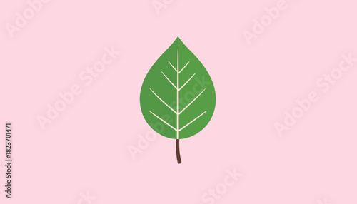 Macro shot of a single fresh green leaf isolated on a white background, symbolizing nature, ecology, and organic growth
